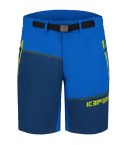 2620715800009_27444_1_delphos_stretch_shorts_herren_koenigsblau_783b5767.jpg