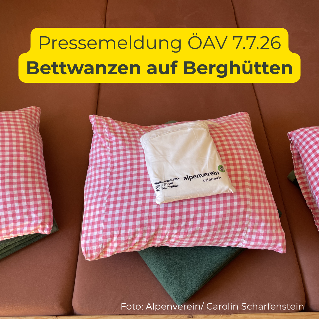 Alpenverein informiert: Bettwanzen und deren Bekämpfung